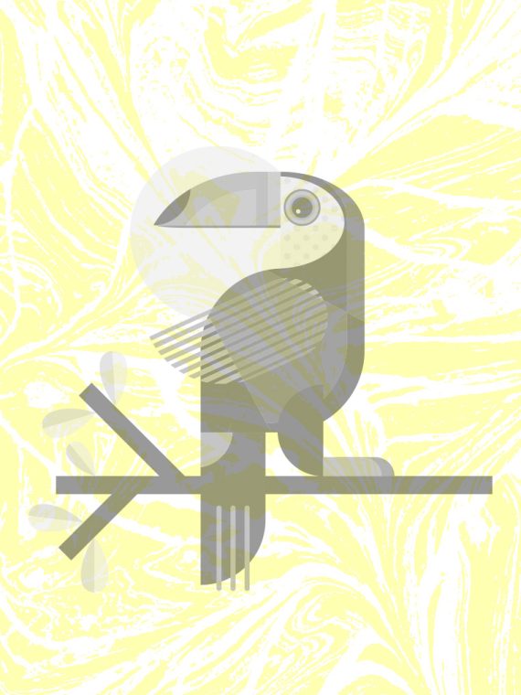 ILLUSTRATOR_BANNERLARGE